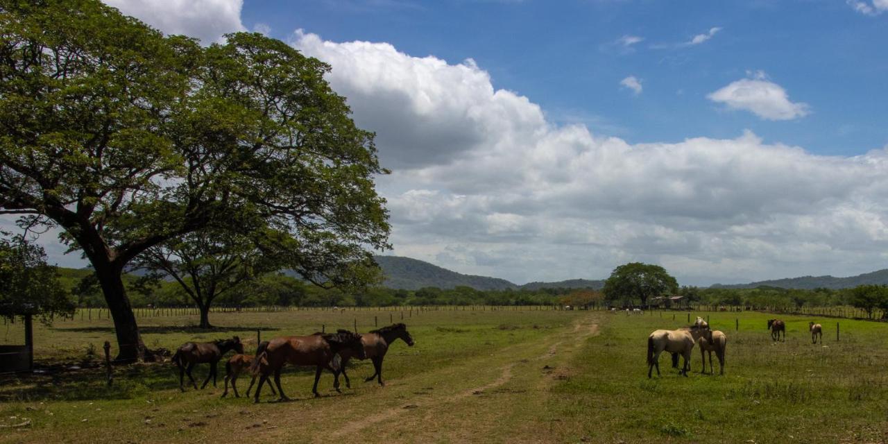 Rancho Humo Estancia Puerto Humo  Luaran gambar