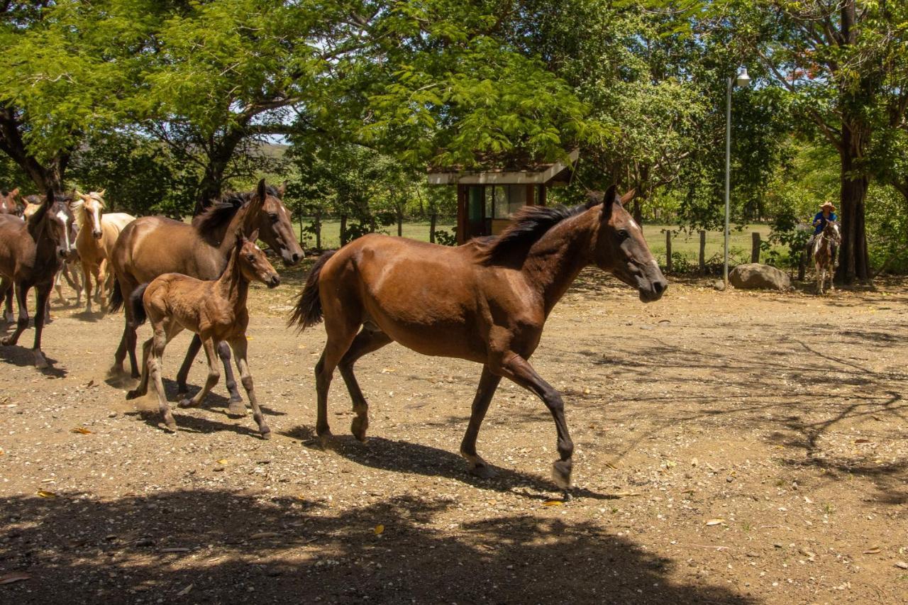 Rancho Humo Estancia Puerto Humo  Luaran gambar